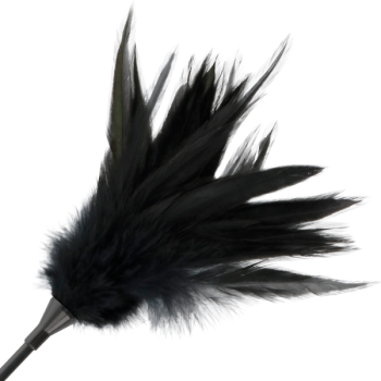 Darkness - Fouet à Plumes Noires