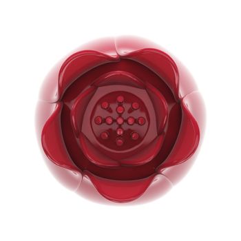 Pretty Love - Tête de Massage Rose