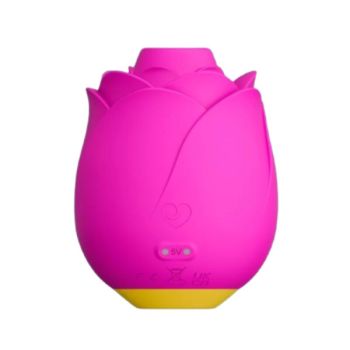 Rose 2.0 Outil de Succion Clitoridienne en Forme de Rose