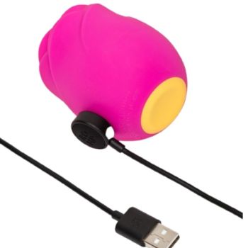 Rose Outil de Succion Clitoridienne en Forme de Rose